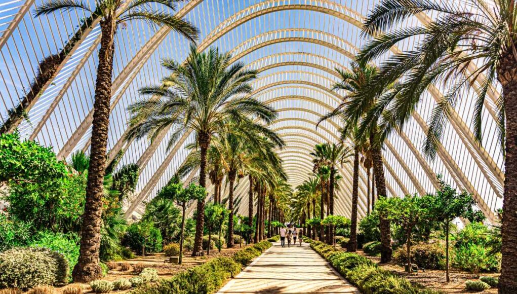 Explore Valencia Spain