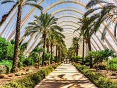 Best Things to See and Do in Valencia Spain Explore Valencia Spain