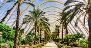 Best Things to See and Do in Valencia Spain Explore Valencia Spain