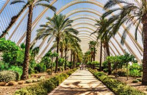 Best Things to See and Do in Valencia Spain Explore Valencia Spain